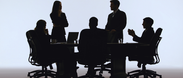 limited şirket genel kurul